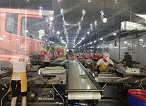 ���a(ch��n)܇�g