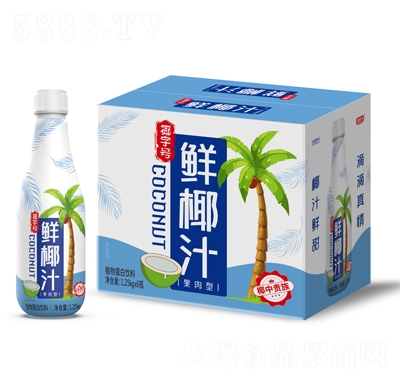 椰字號鮮椰汁果肉型植物蛋白飲料1.25kgX6瓶