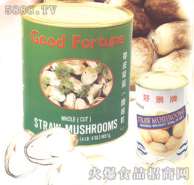 ʢӛ�ݹ����^