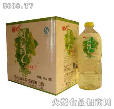 ܰ��2Lˮ������