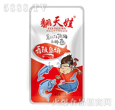 �����������~�K16g