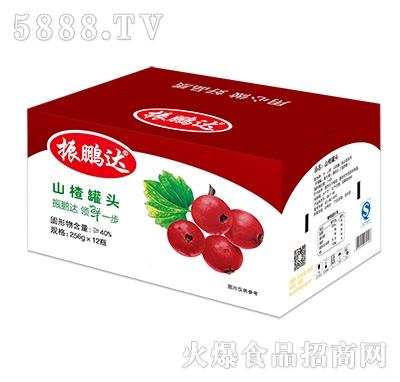 256gx12ƿɽ髹��^����