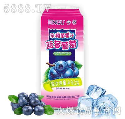 ���������{ݮ���ѹ�֭