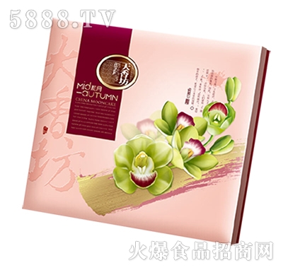 ���㷻�����¿�������