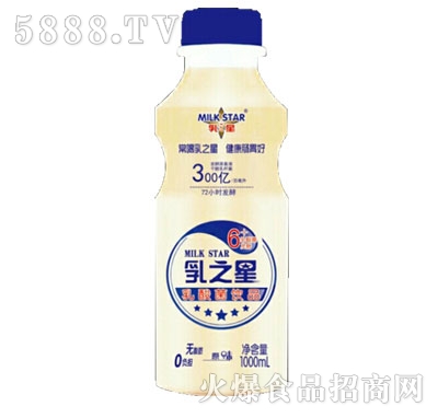 ��֮�������ԭζ1000ml