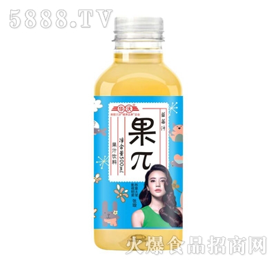 �A�ֹ����{ݮ֭500ml