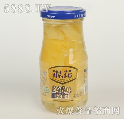 �y�����}���^248g