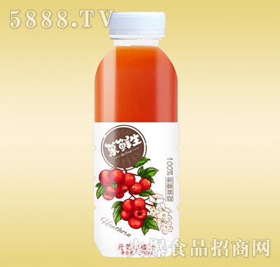 Ǒ�r��Ԫ��ɽ�֭500ml