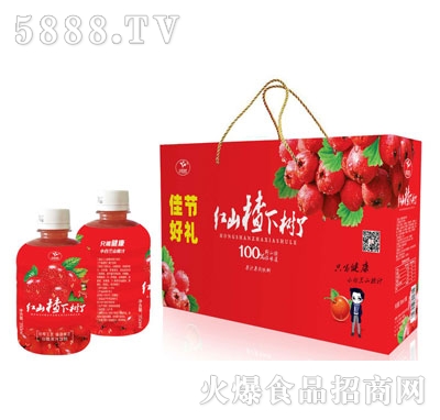 紅山楂下樹了山楂果汁飲料禮盒裝