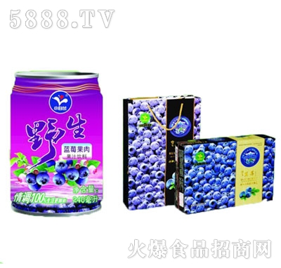 小白蘭野生藍(lán)莓果肉果汁飲料240mlx20罐