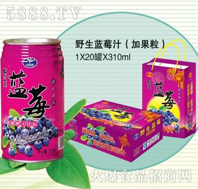 小白蘭野生藍(lán)莓果肉果汁飲料310mlx20罐