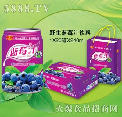 小白蘭野生藍(lán)莓汁飲料240mlx20罐