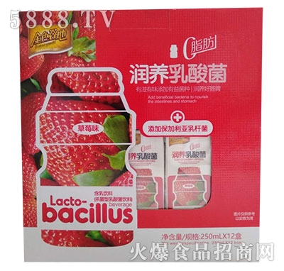 ��ɫ�ȵ؝��B(y��ng)�������ݮζ250mlx12��