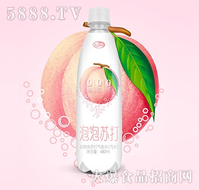 ����ˮ�������K�����ζ�K�����ˮ480ml