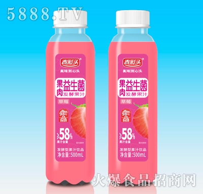�����^��ݮ�������l(f��)�͹�֭500ml