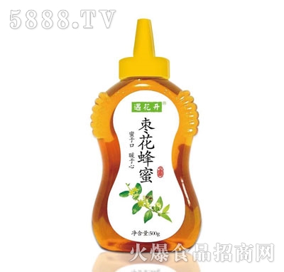 �����_��������500g