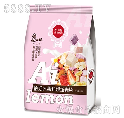 ���������̴������Ƭ