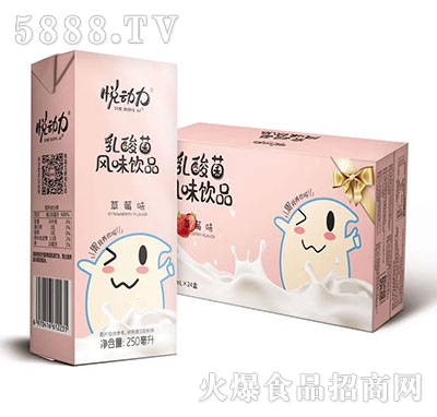 �������������ݮζ250ml