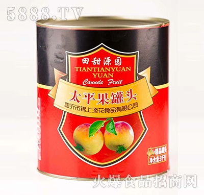 ����Դ�@̫ƽ�����^��3ǧ�ˣ�