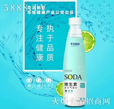 �A����ˎ�S�����K�����ˮ����ζ500ml