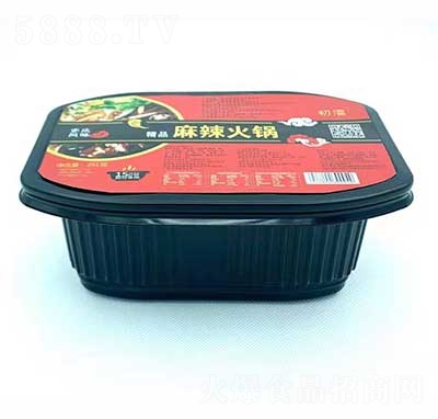 �����������251g