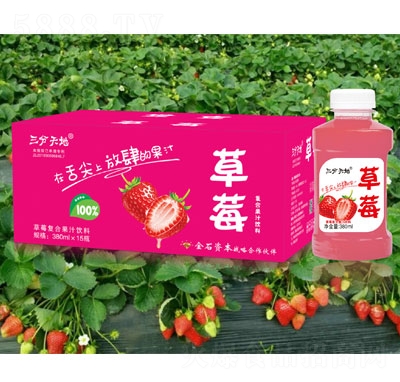 ������ز�ݮ��(f��)�Ϲ�֭���380mlX15ƿ