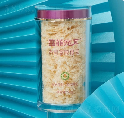 ѩ�ƌ����ЙC(j��)���z�y��50��