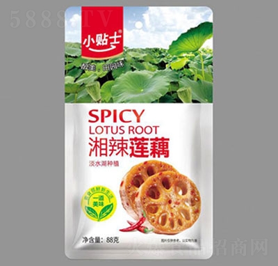 С�Nʿ����ɏź88g