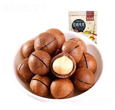 ����ζ�����Ĺ�