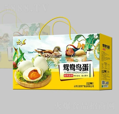 �����x���B��900g