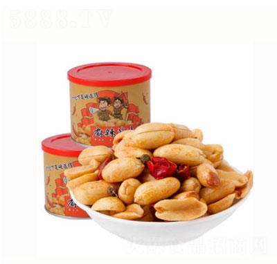 ���ɹ�����������