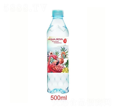 ��¶�VȪˮ500ml