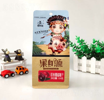 ����Դ120g��ʳ��Խݮ����