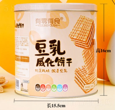 ������ʳ���������