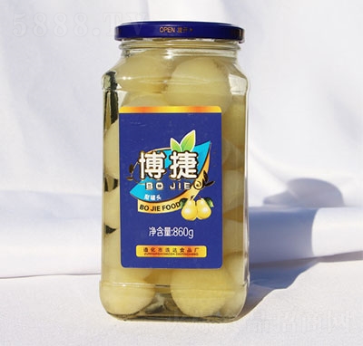 ��������^860g