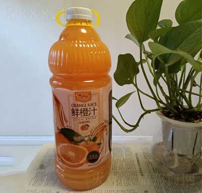 �Đ����r��֭�L(f��ng)ζ��Ϲ����֭��ͥ�b2L�ļ�������ϯ�Ʒ����