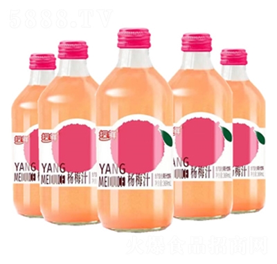 ̽�r��÷֭������(f��)�Ϲ�֭���369ml�Ʒ����