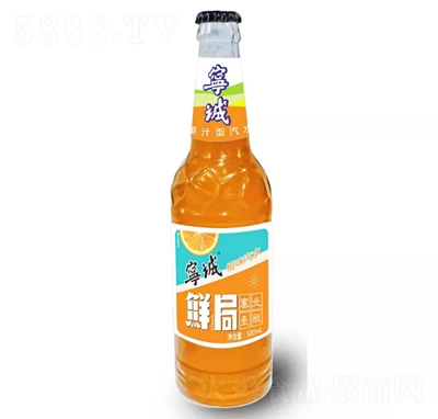 ���\�㙉ζ��ˮ���̴���̼�����500ml��ζ