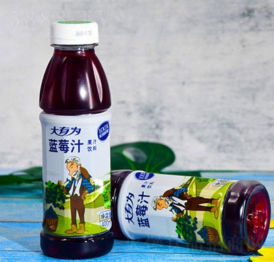 ���О��k�������e�Ʒ�̳�؛Դ��֭����ļ�����{ݮ֭400ml���l(f��)