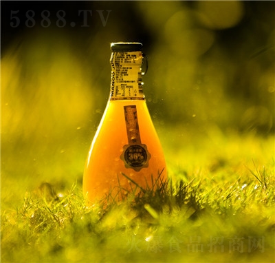 ���О��֭������e�Ʒ���̴����̳�؛Դâ��֭226ml