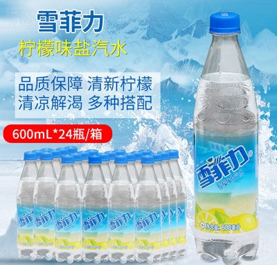 ѩ�����}��ˮ600�����ļ��Ʒ���̴���