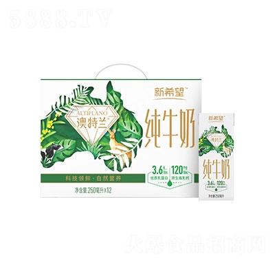 ��ϣ���׵۰����m��ţ��