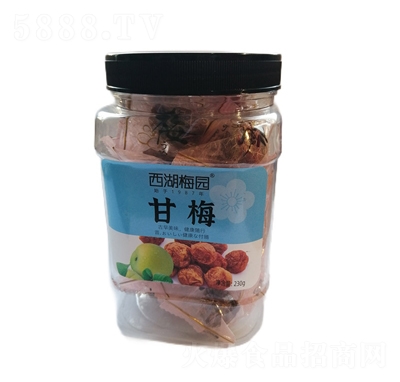 西湖梅園甘梅230g罐裝蜜餞果干休閑食品招商