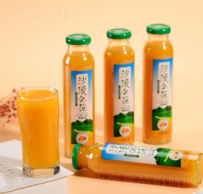 沙漠之花國(guó)產(chǎn)沙棘汁網(wǎng)紅果汁活力飲料