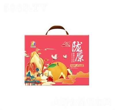 ��һ���]ԭ��ʳ��Y���Ӹ������{(l��n)ݮ��ɽ�â���ɽM��864g�b