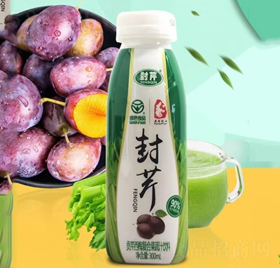 ����ؕ����÷�ͺϹ���֭���300ml