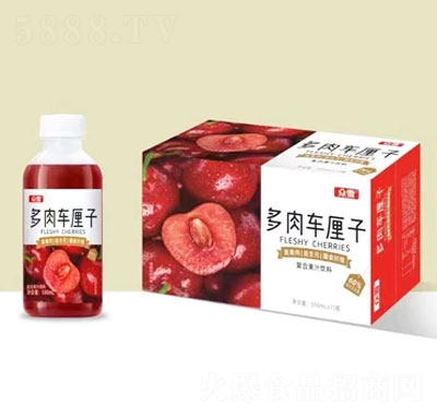 ��ѩ����܇����֭�ͺϹ�֭���500mlX15