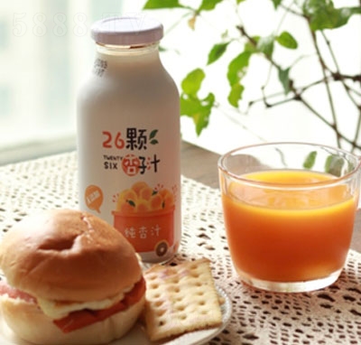 26�w����֭����֭��ƿ��