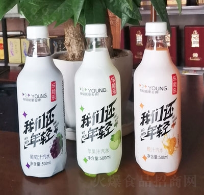 ���ܘ���֭��ˮ500ml