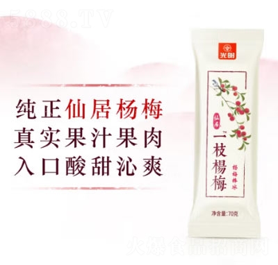 �����ɾ�һ֦��÷�����挍(sh��)���������ܱ�����ѩ��